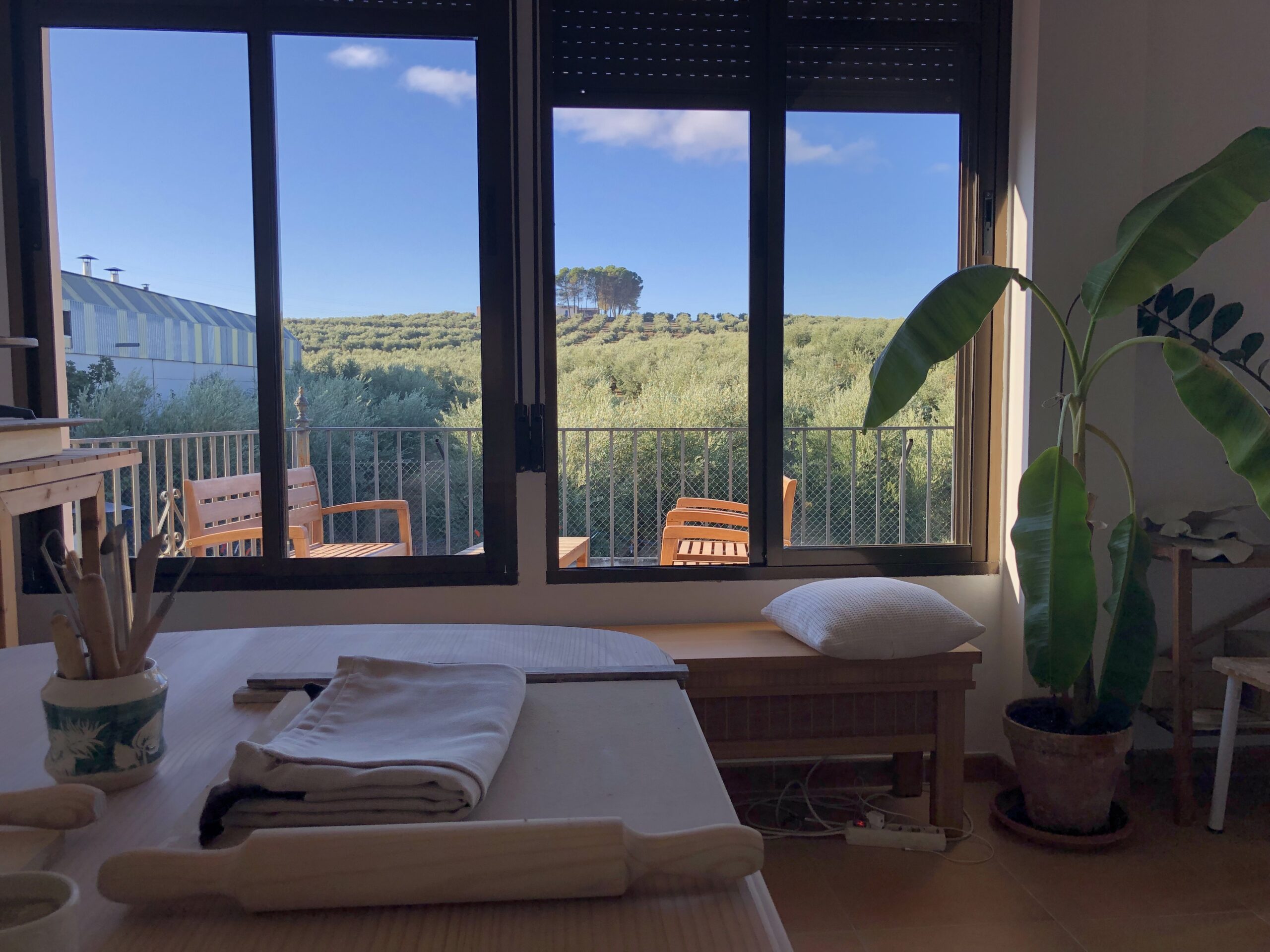 estudio con vistas al olivar de Jaén<br />
